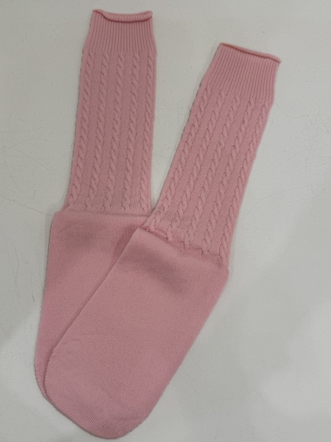 NEP-AW2620-2